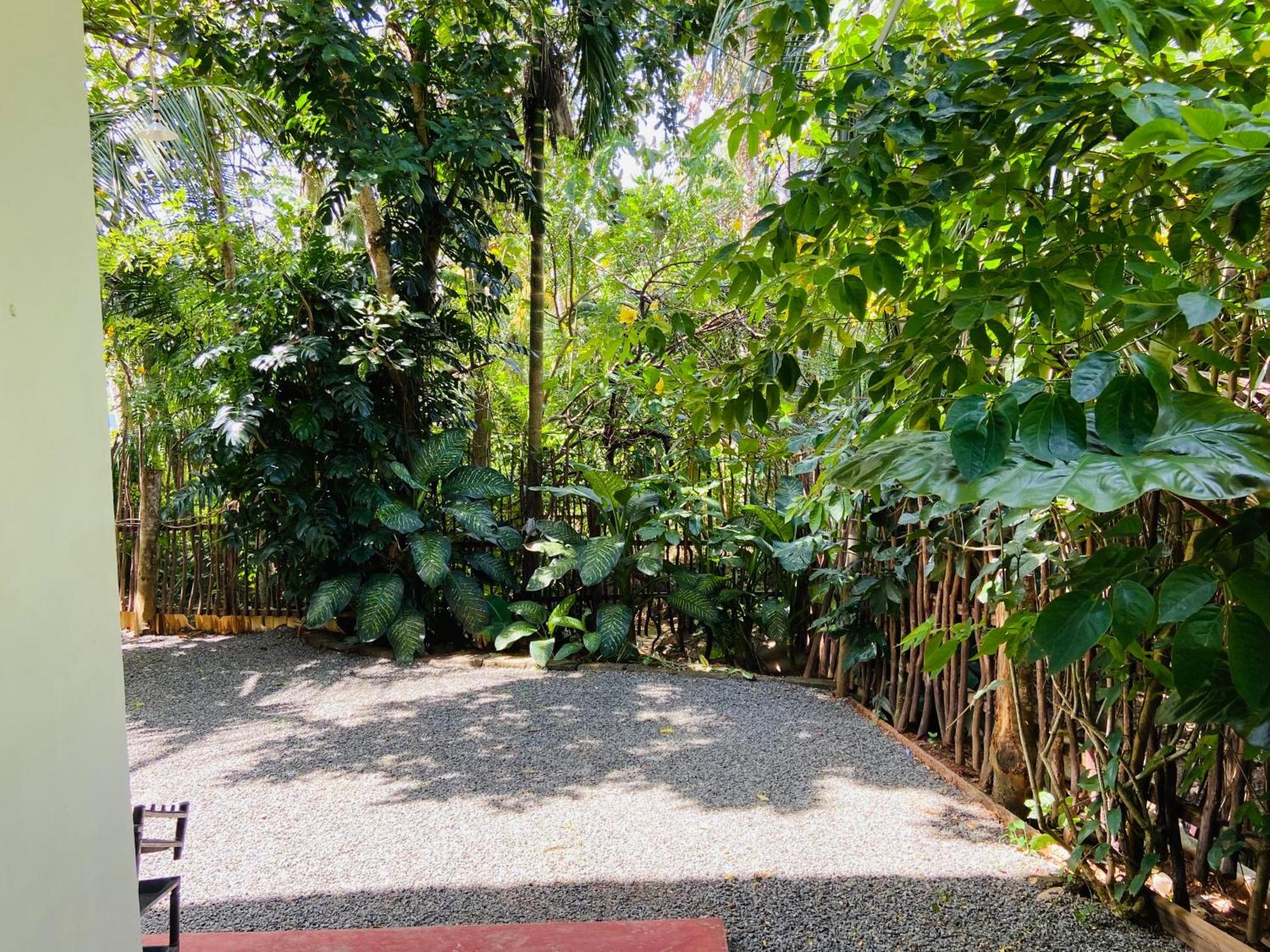 Leo Homestay 디크웰라 외부 사진