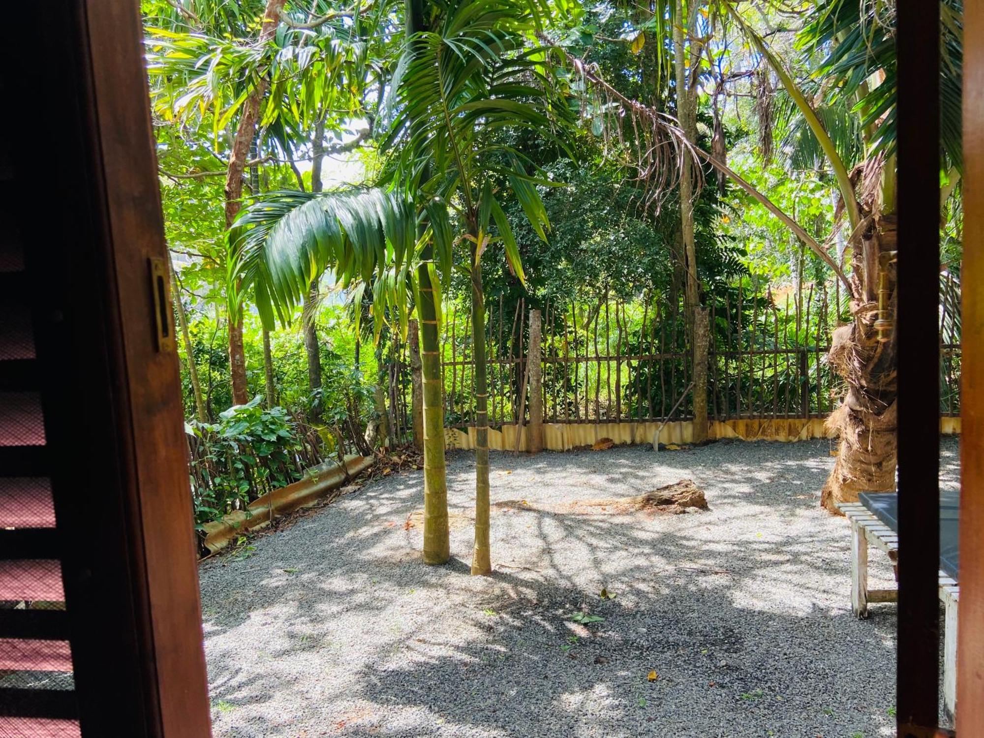Leo Homestay 디크웰라 외부 사진