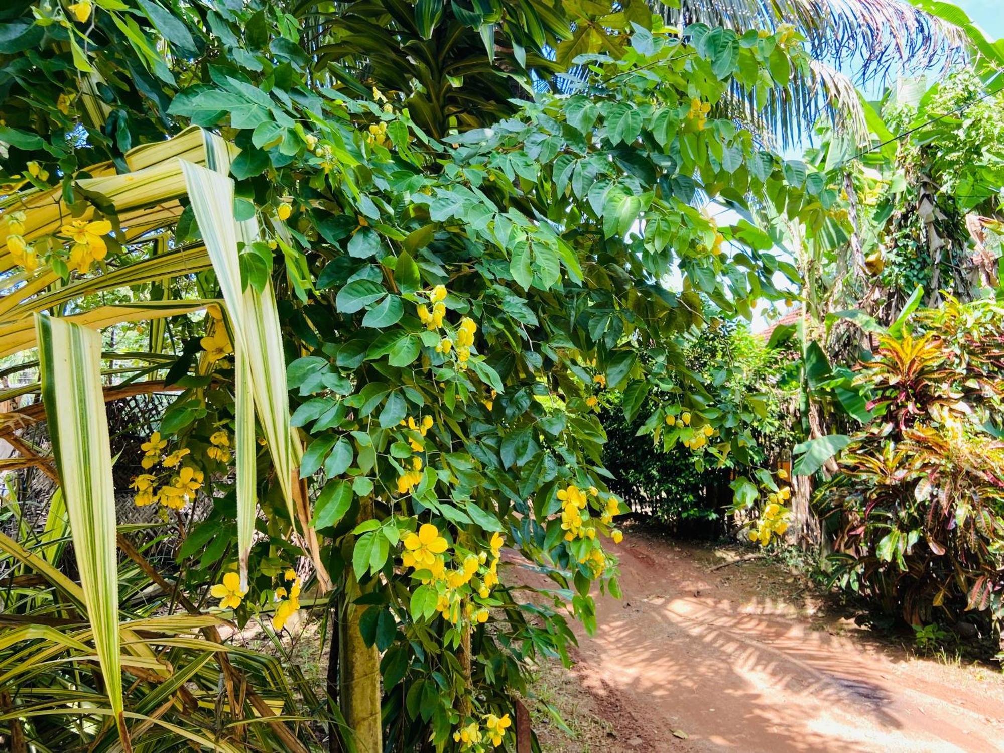 Leo Homestay 디크웰라 외부 사진