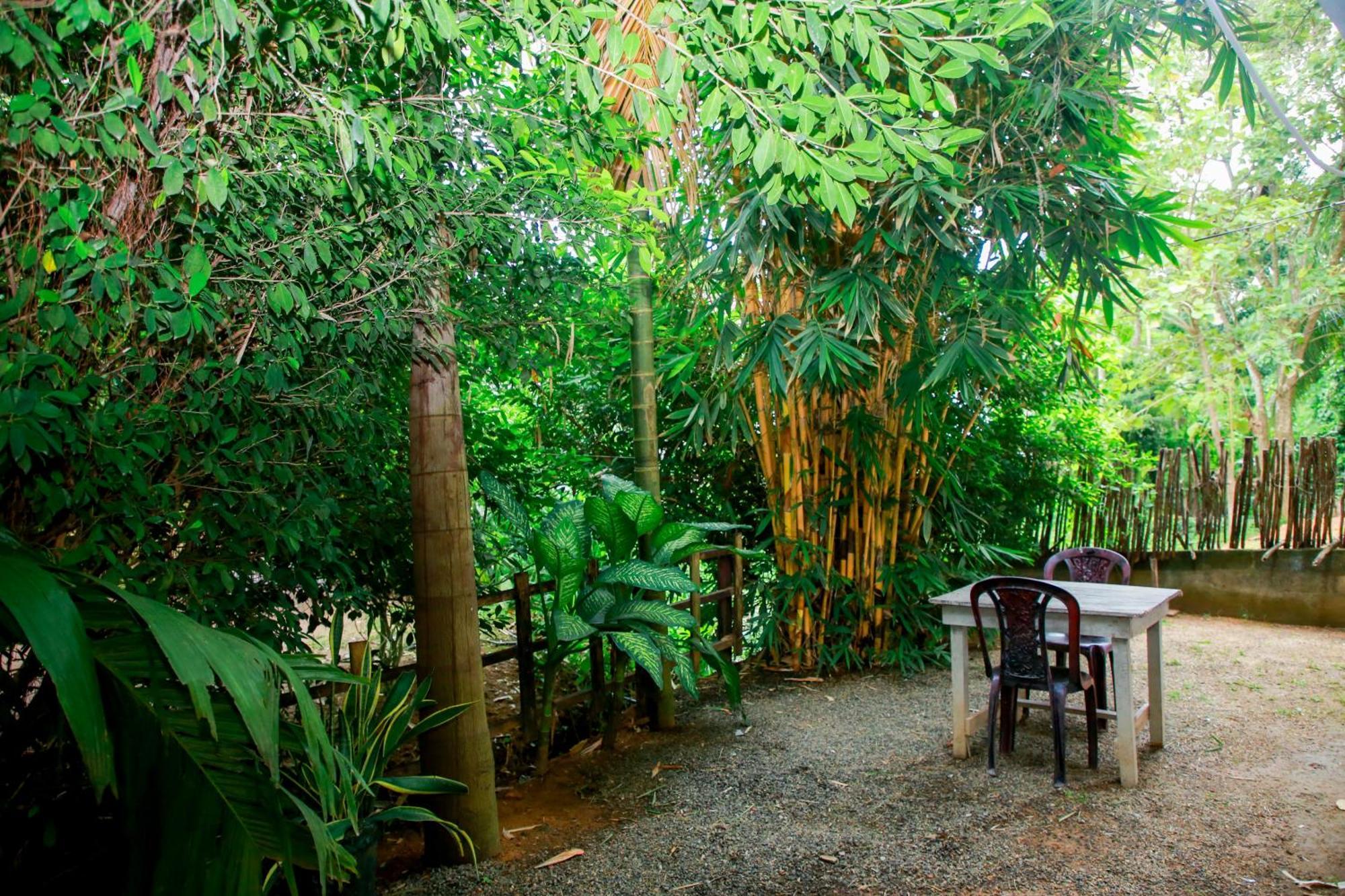 Leo Homestay 디크웰라 외부 사진